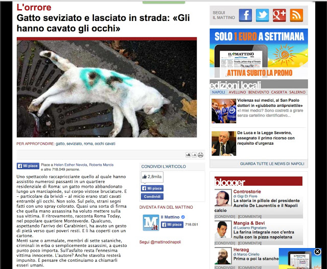 http://www.ilmattino.it/pelo_e_contropelo/gatto_seviziato_occhi_cavati_gettato_in_strada/notizie/446222.shtml